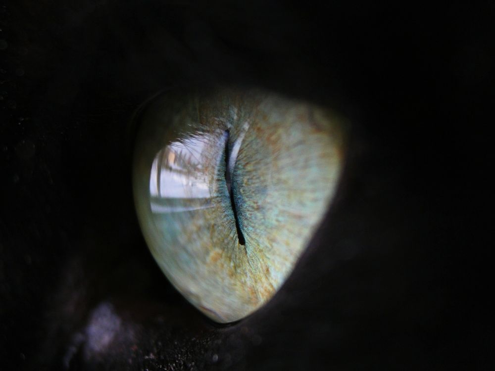 Photograph by Светлана Богомолова