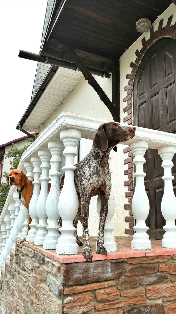 Photograph by Евгений