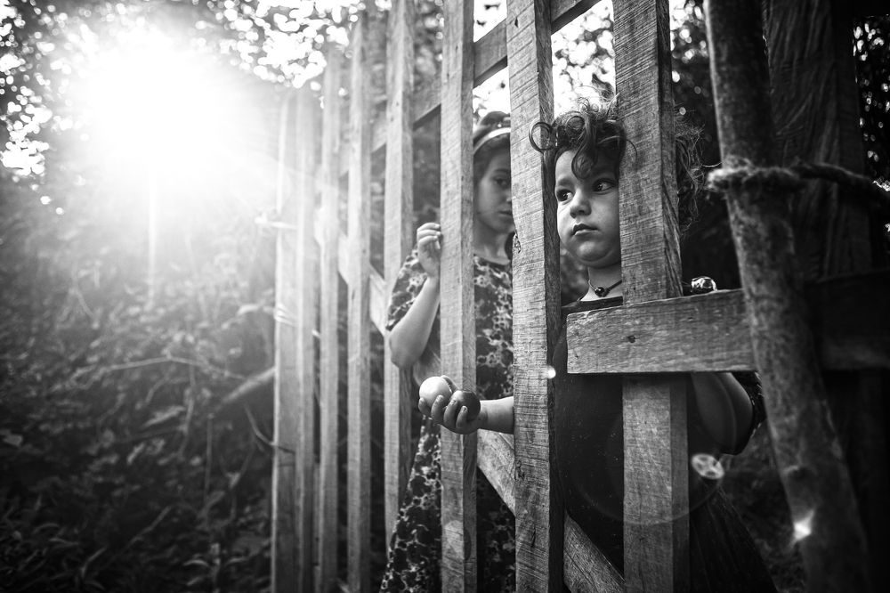 Photograph by Ali Shafie Koli