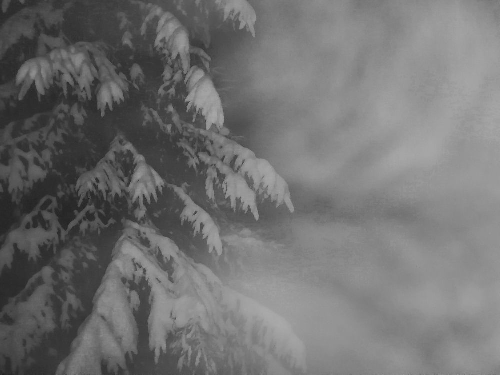 Photograph by Евгений