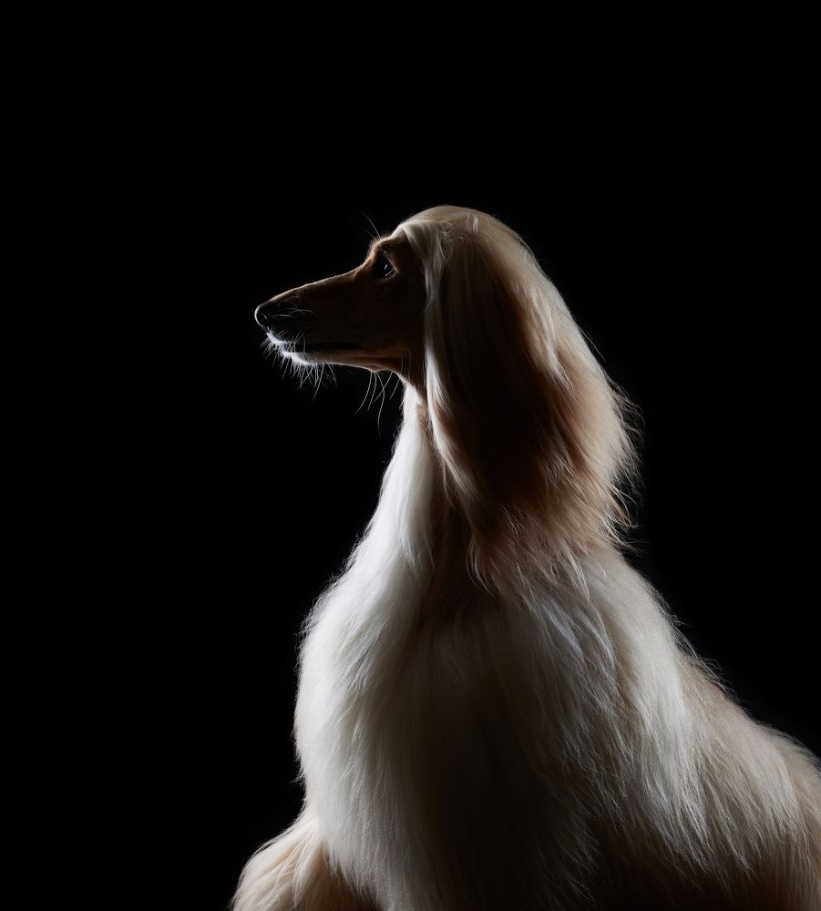 Такой разный