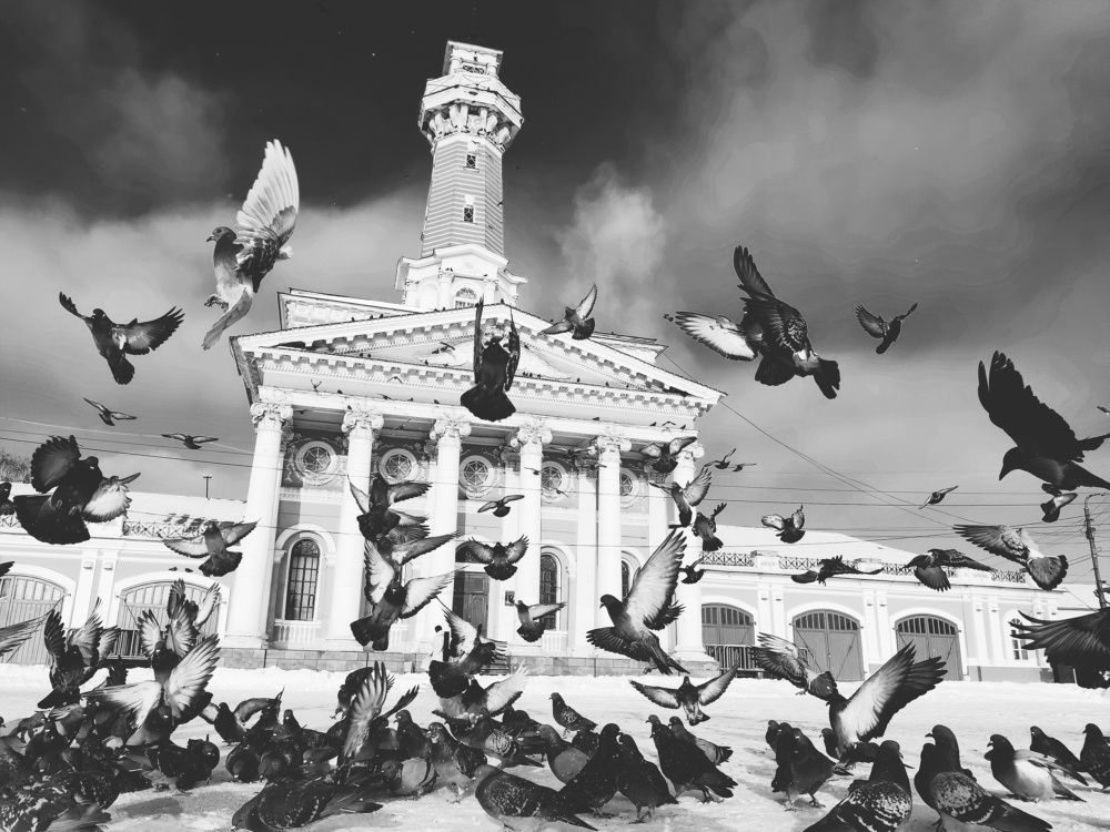 Photograph by Ксения Щербакова