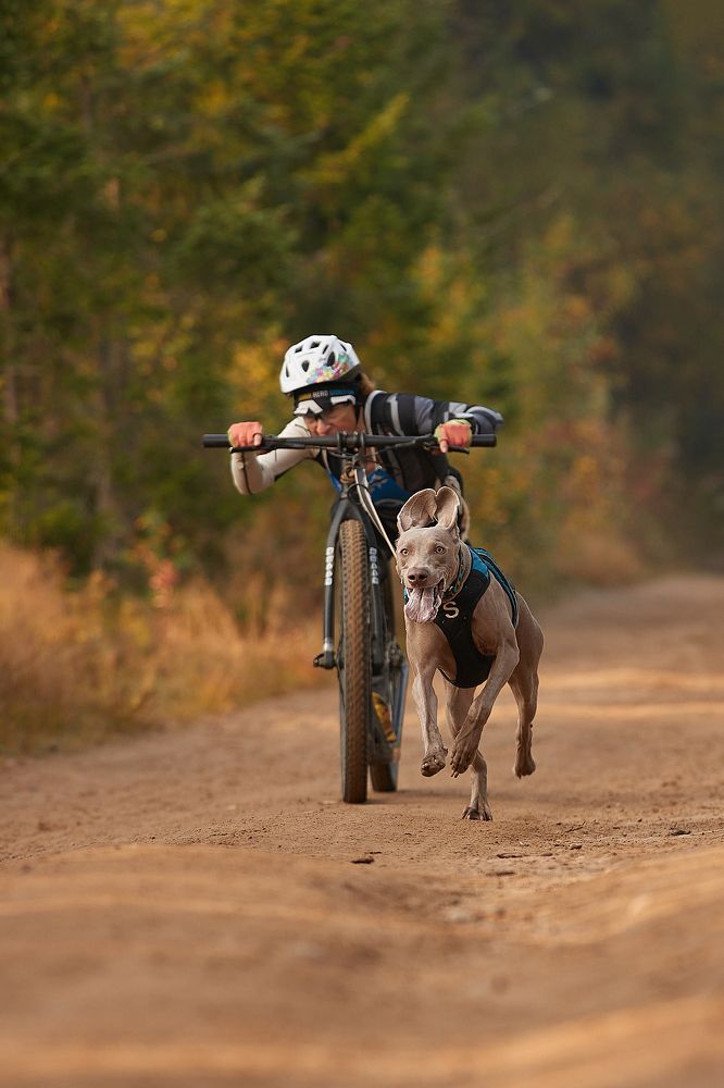 Photograph by Лана Полякова