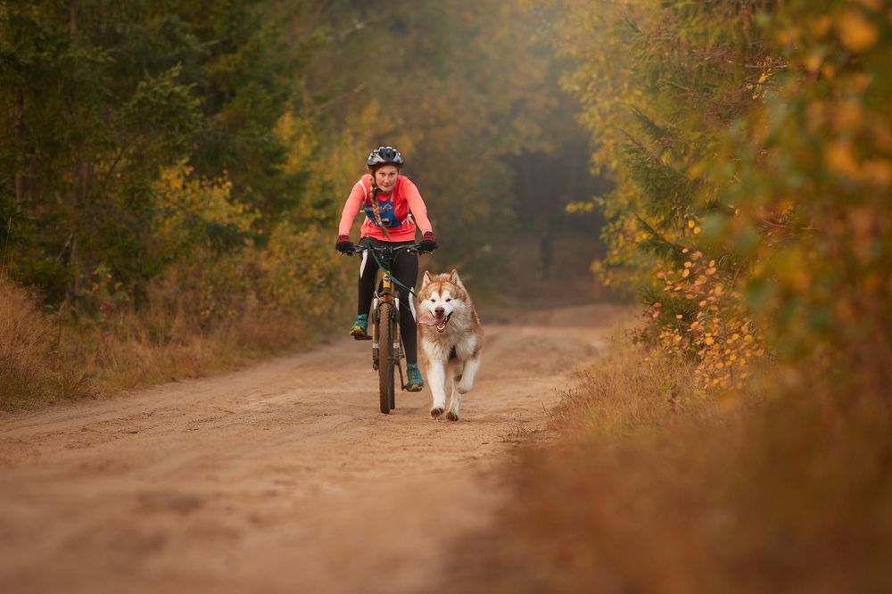 Photograph by Лана Полякова