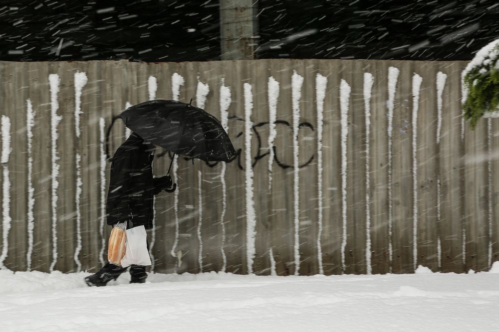 Photograph by Ali Shafie Koli