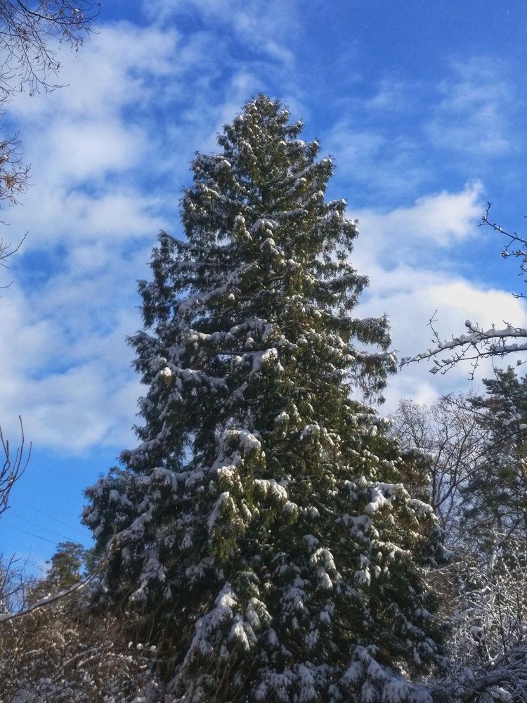 Photograph by Олег Ниделков