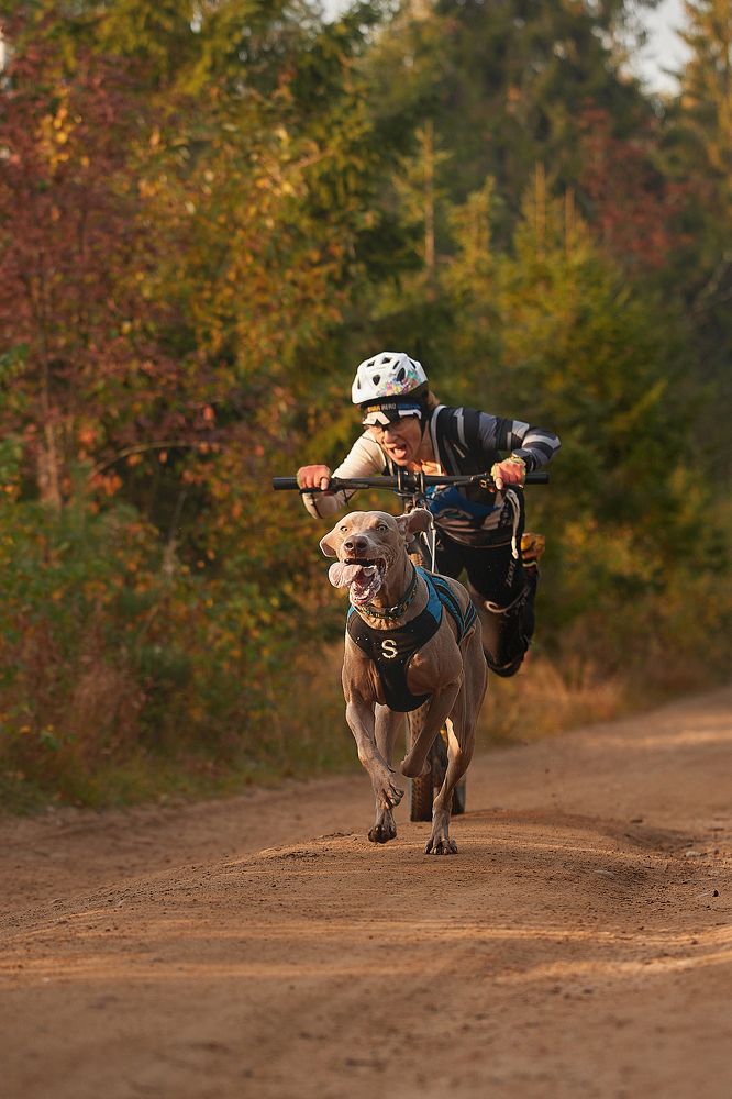 Photograph by Лана Полякова