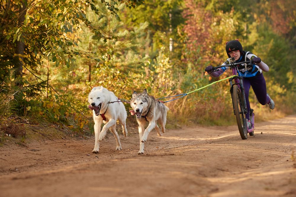 Photograph by Лана Полякова