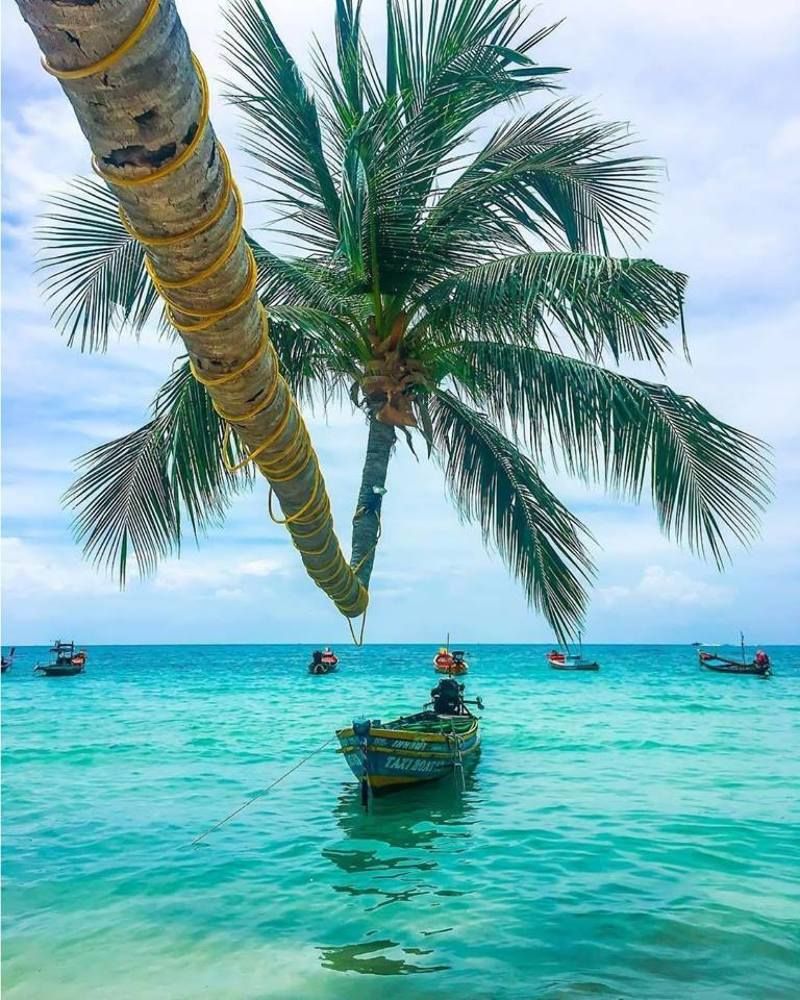 Photograph by Ajay Singh