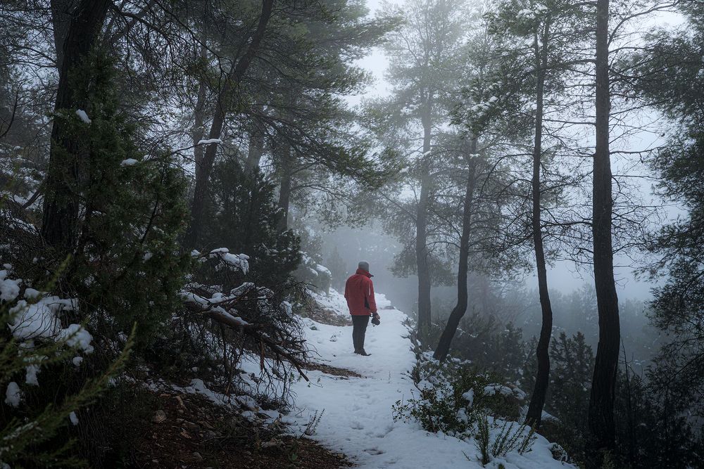 Photograph by Pedro Cazorla Rubio