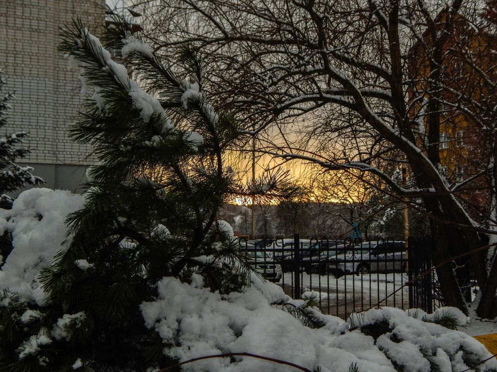 Зимний закат в ветвях.  Winter sunset in the branches.