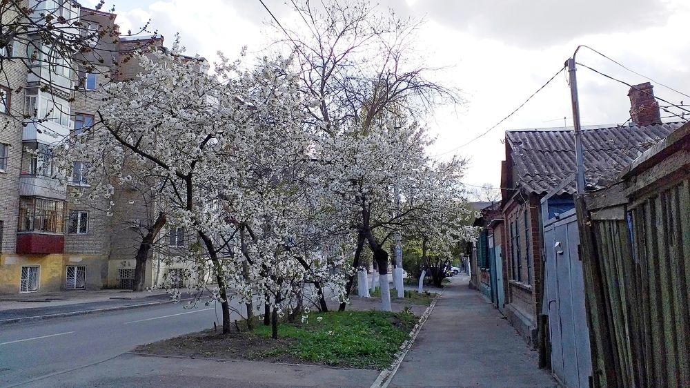 Улица контраста.