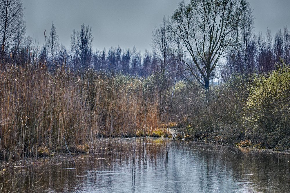 Фотография автора Святослав Романяк