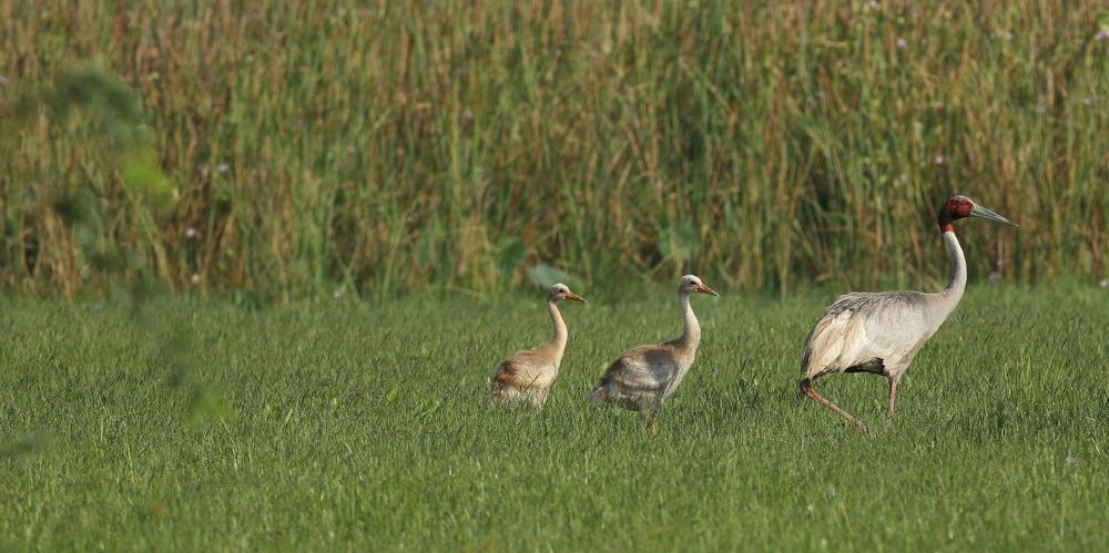 Photograph by Pulkit Satwara