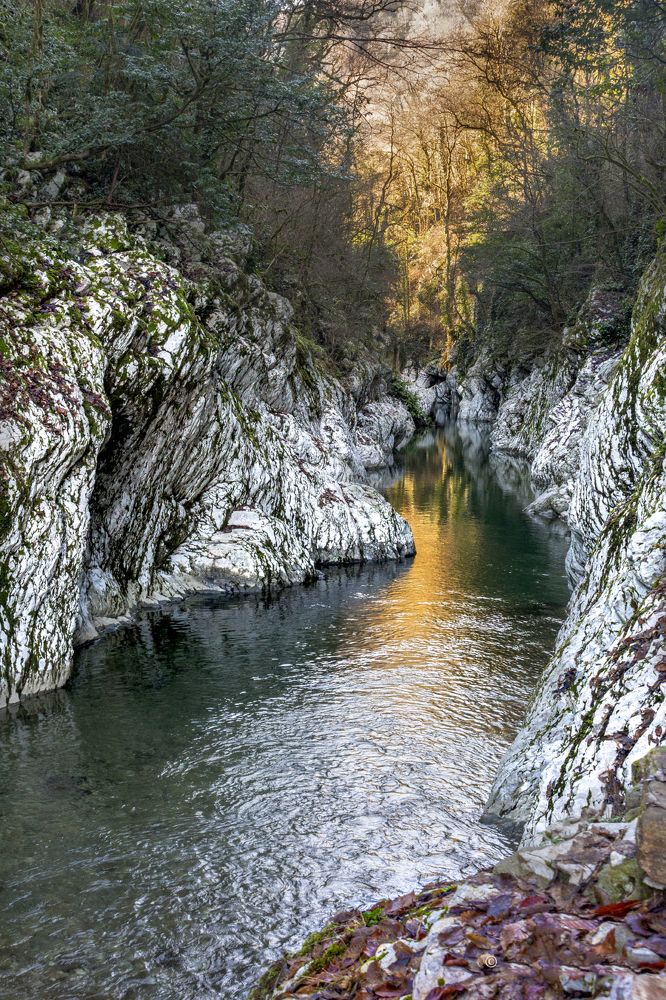 Photograph by Сергей Стратов