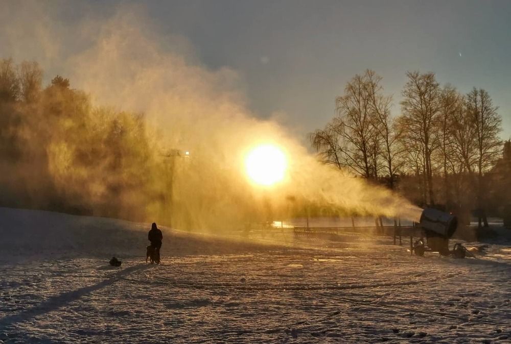 Photograph by Tanja Z. Bergman