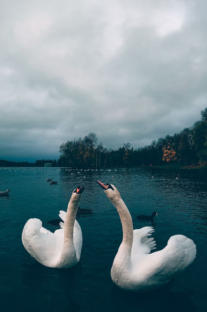 Photograph by Карина Бархударян