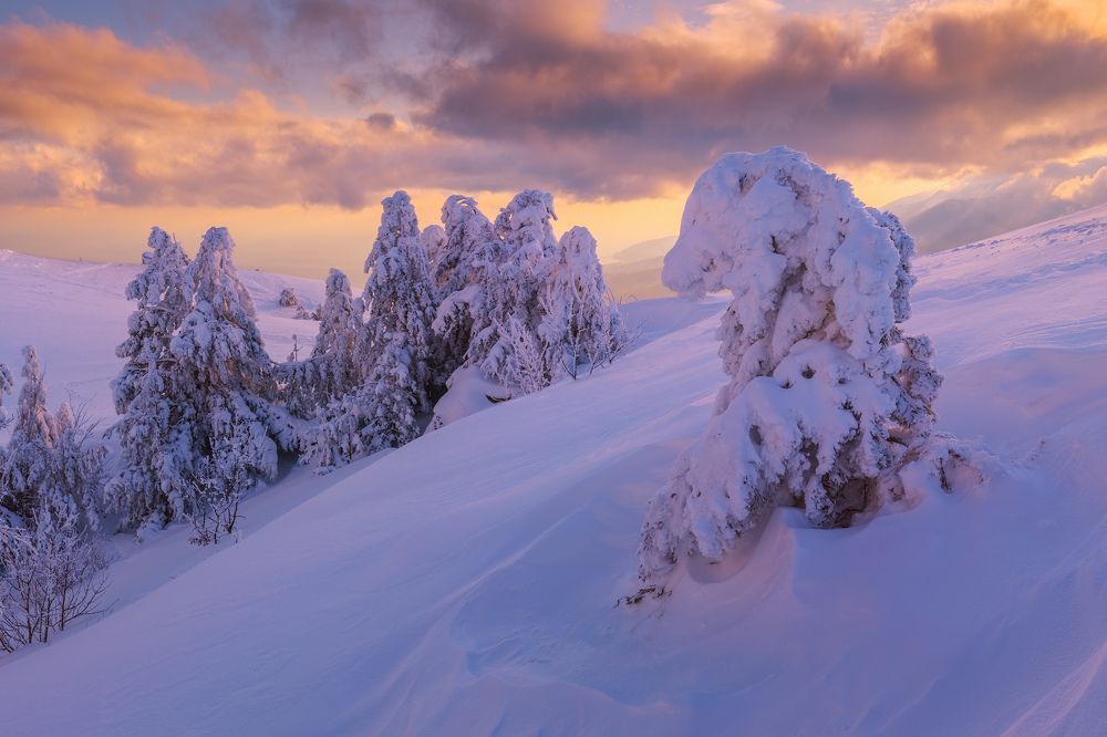 Photograph by Konstantin Voronov