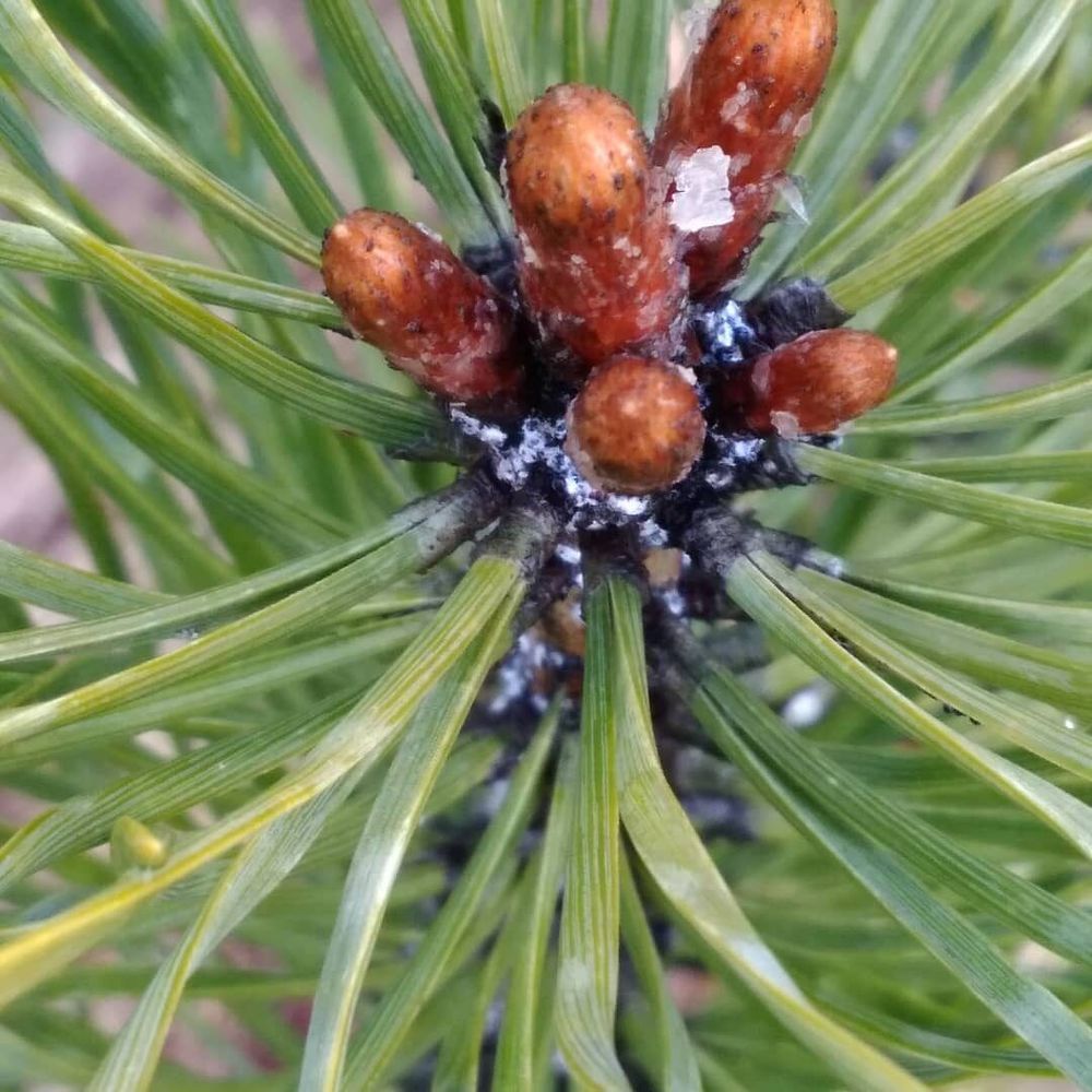 Photograph by Татьяна