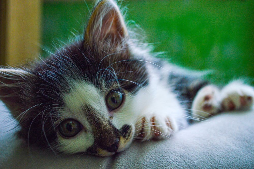 Photograph by Анжелика Шокина