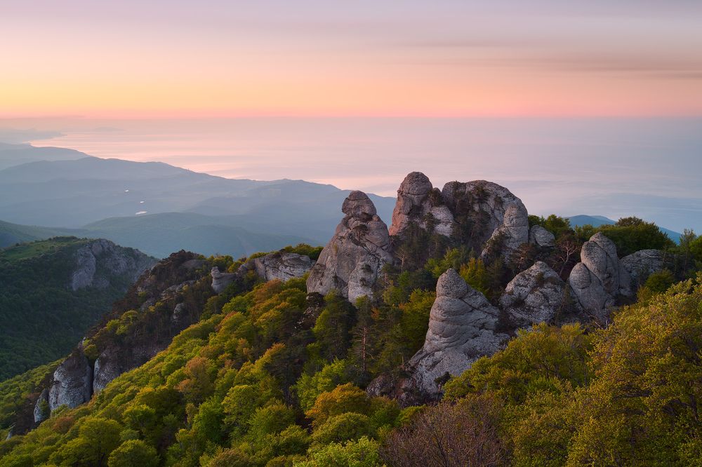 Photograph by Konstantin Voronov