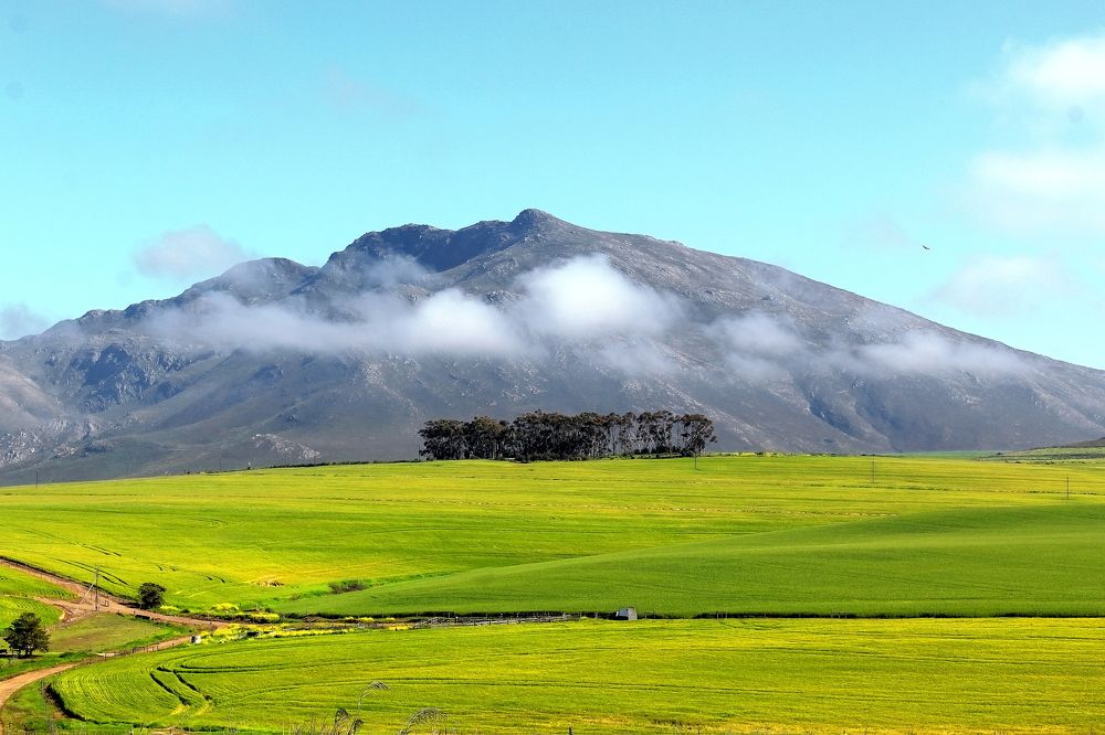 Фотография автора Kumar Pallav