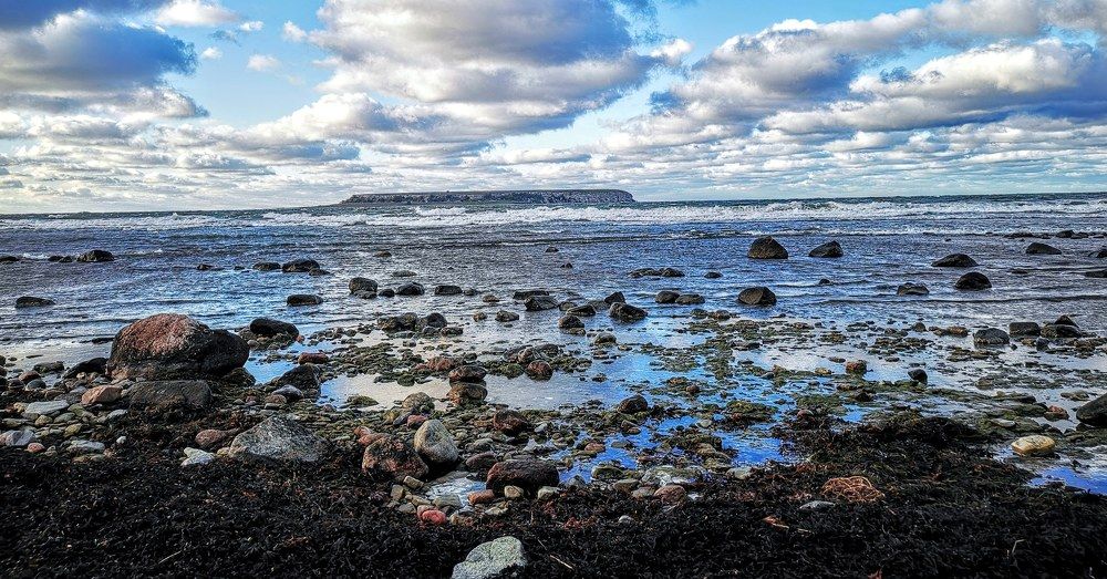 Photograph by Tanja Z. Bergman