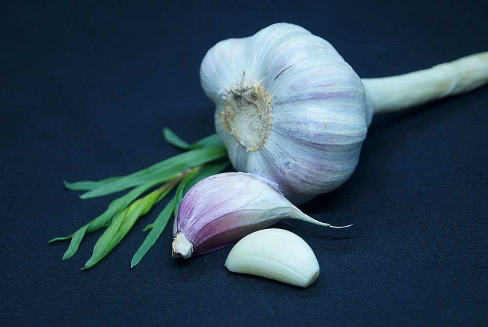 Photograph by Наталья