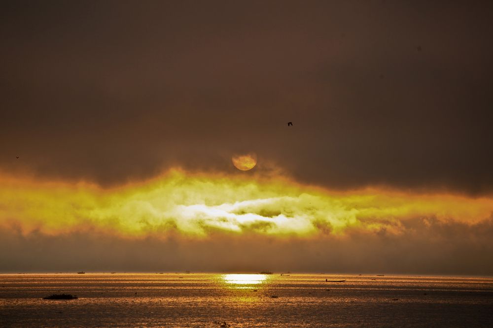 My Golden Bangladesh