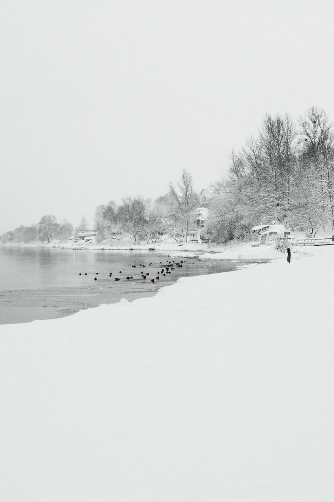 Разрезая белое