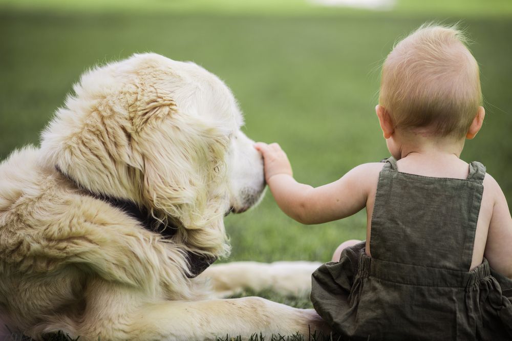 Photograph by Зарина Мартынова