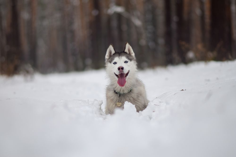 Фотография автора Мария Яропольская