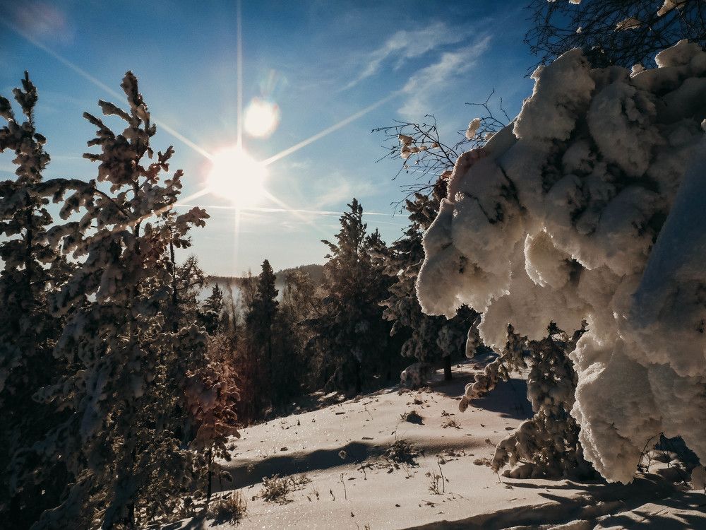 Photo #5664590