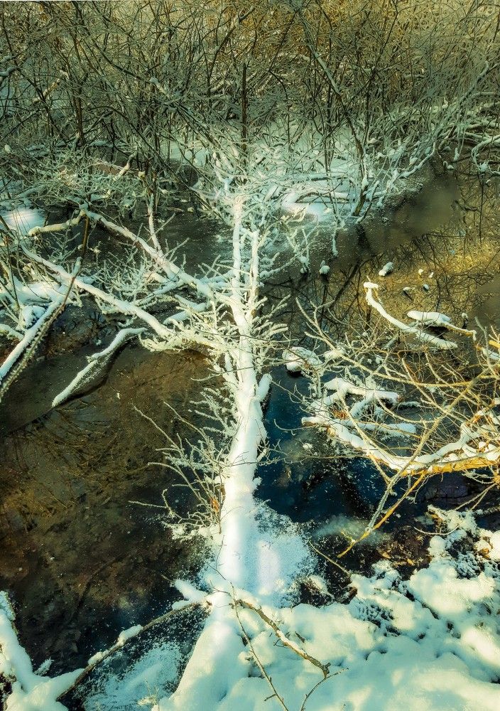 Photograph by Леонид Борисенко