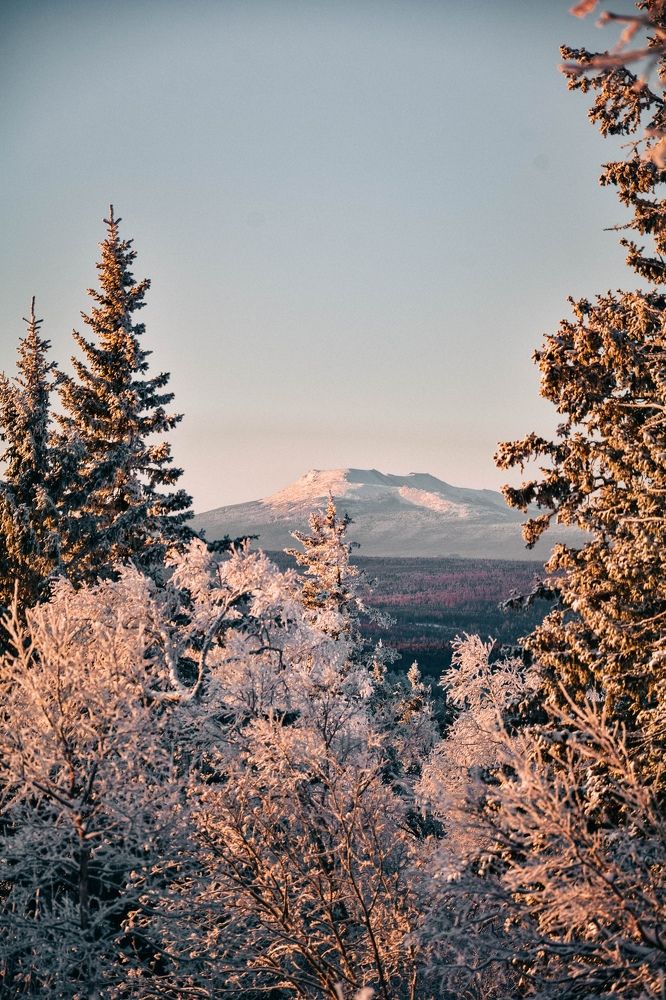 Photograph by Анастасия Фокина