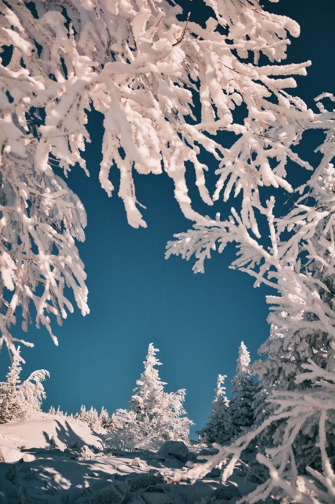 Photograph by Анастасия Фокина