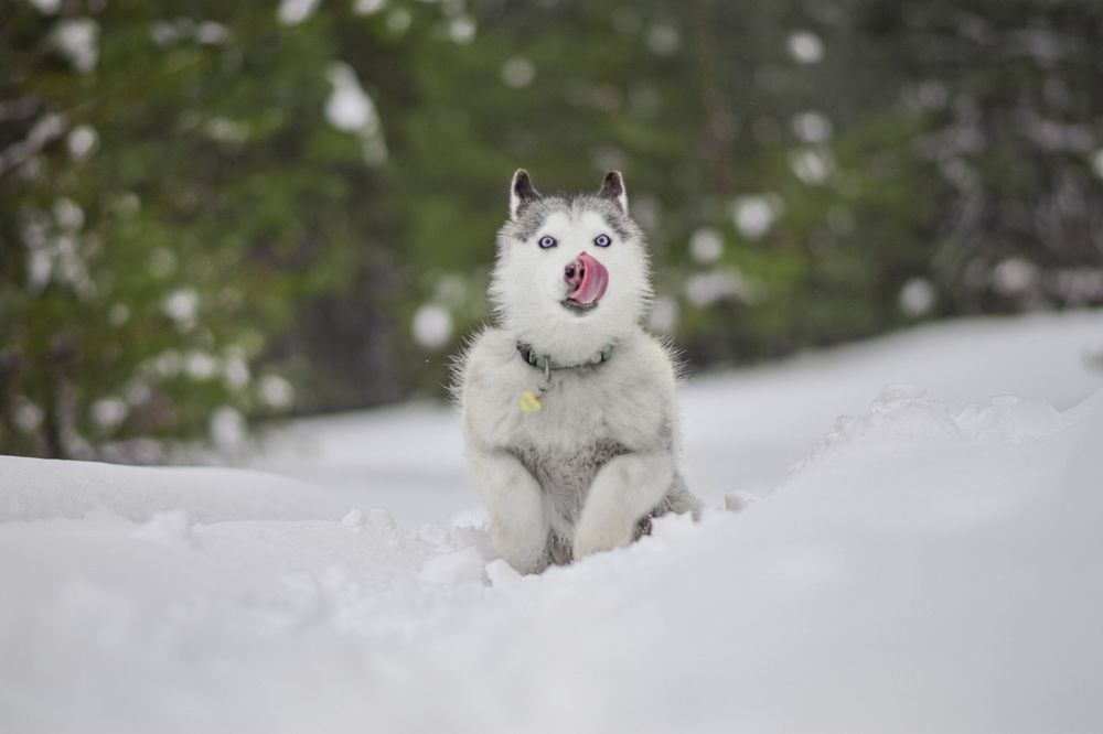 Фотография автора Мария Яропольская