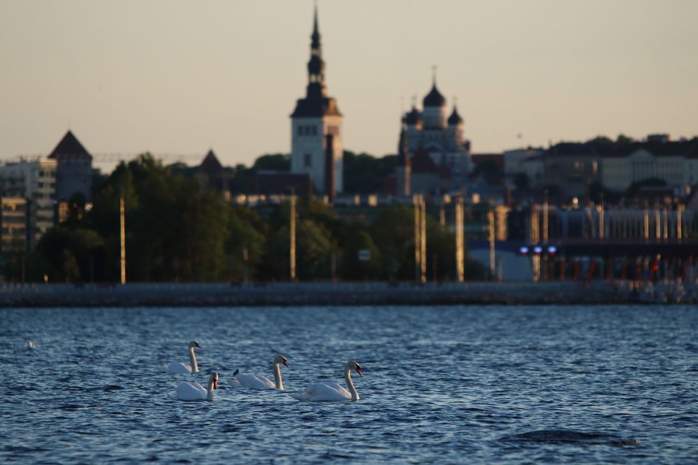 Photograph by Анастасия Корнеева