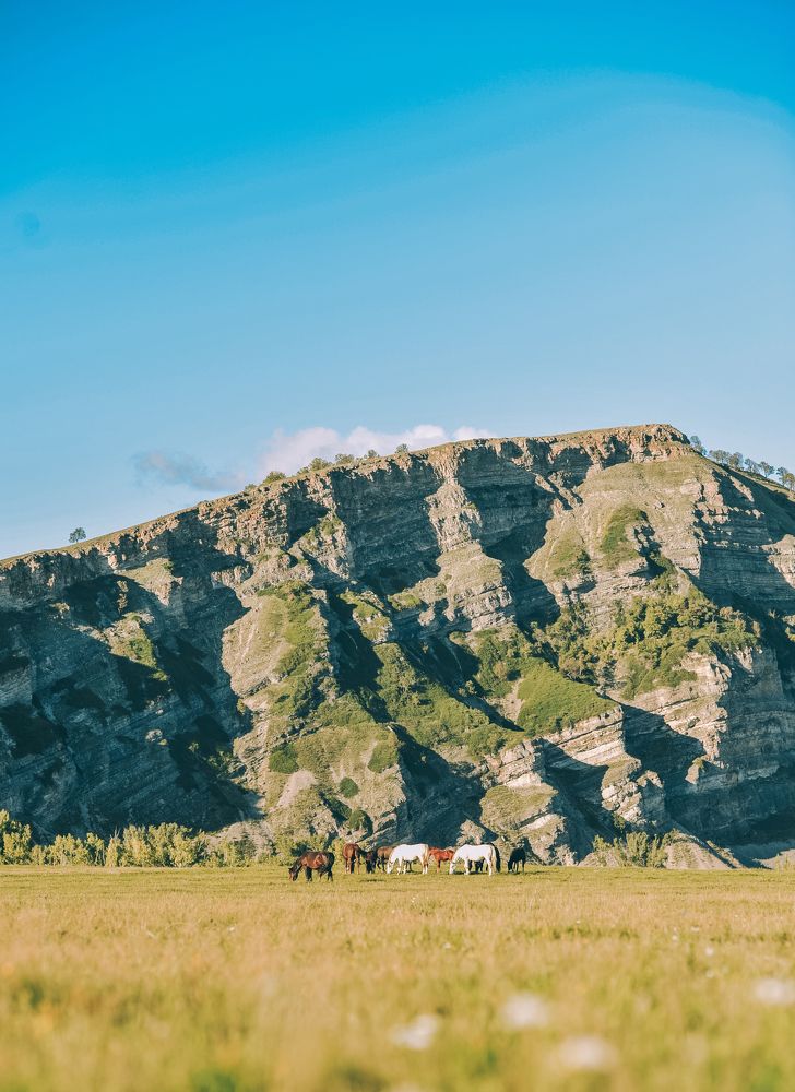 Photograph by Rustam Igibaev