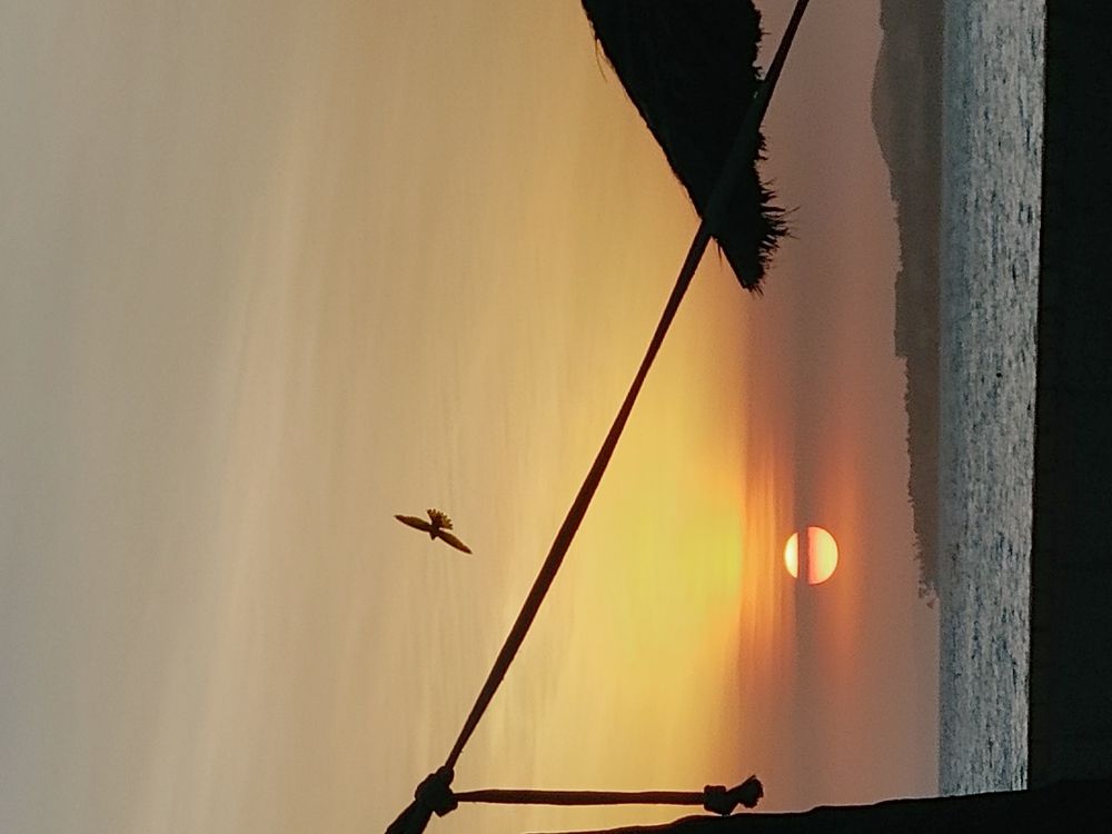 Photo #5664726