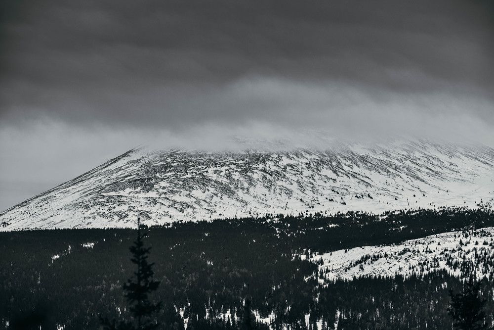 Photograph by Анастасия Фокина