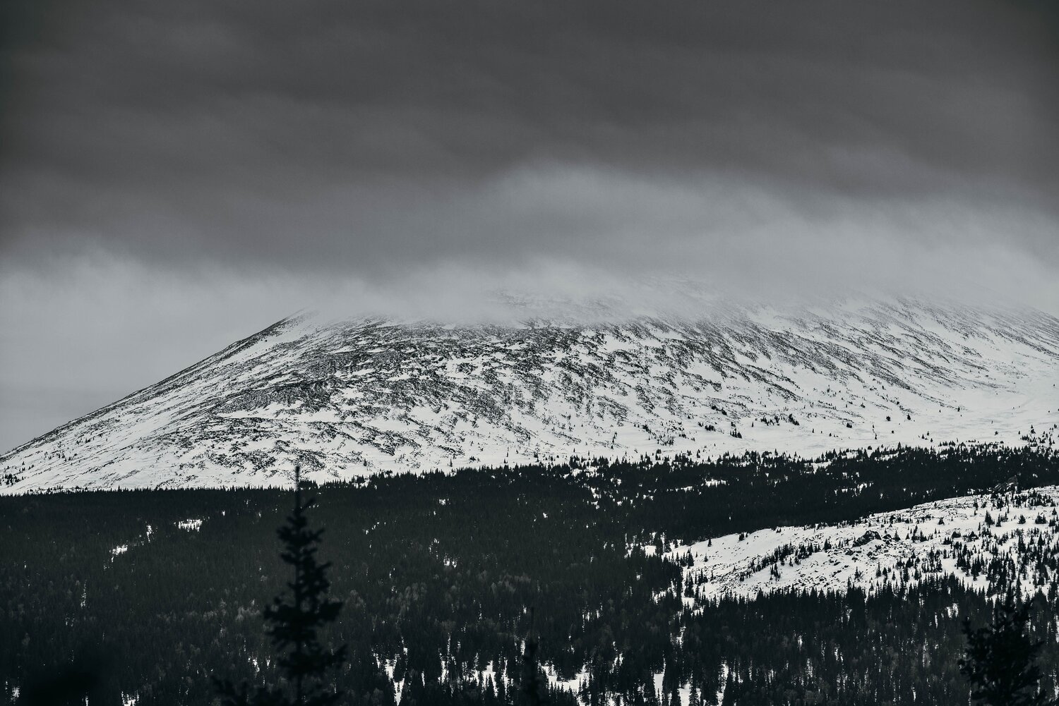 Photo #5664796