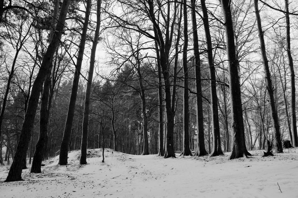 Photograph by Александр Кращук