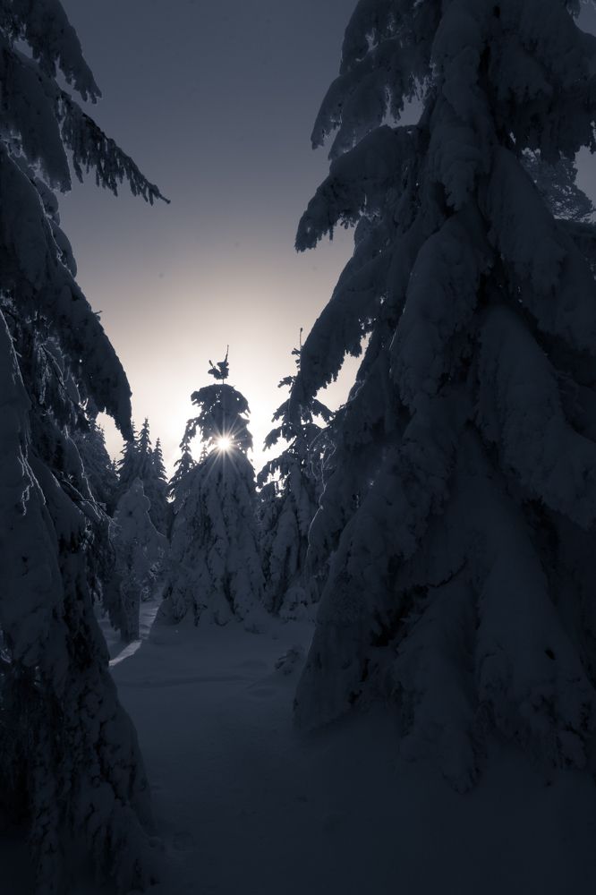 Photograph by Lionel Thenadey