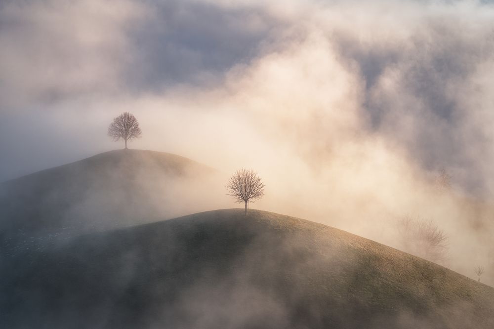 Photograph by Antonio Valente