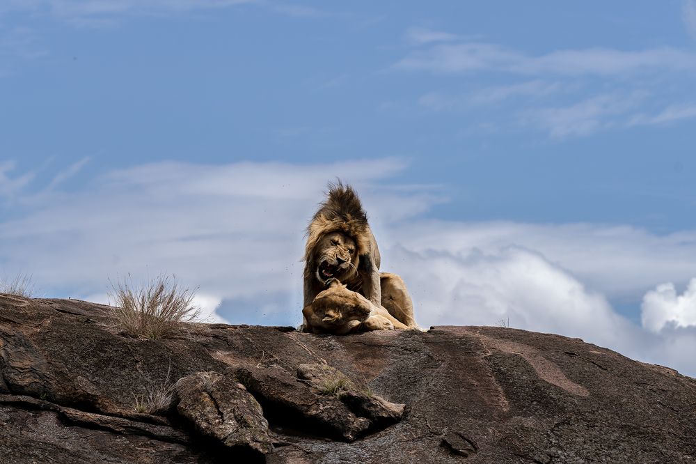 Photograph by Arjun Kavil