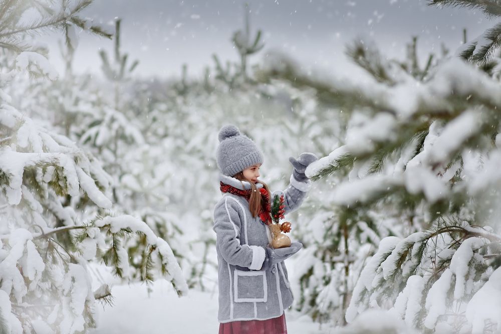 Photograph by Тома Мишина