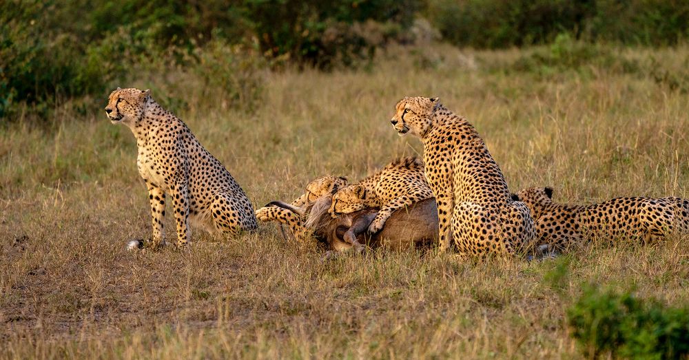 Photograph by Arjun Kavil