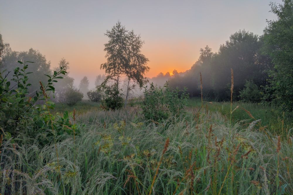 Photograph by Светлана Кондрашова
