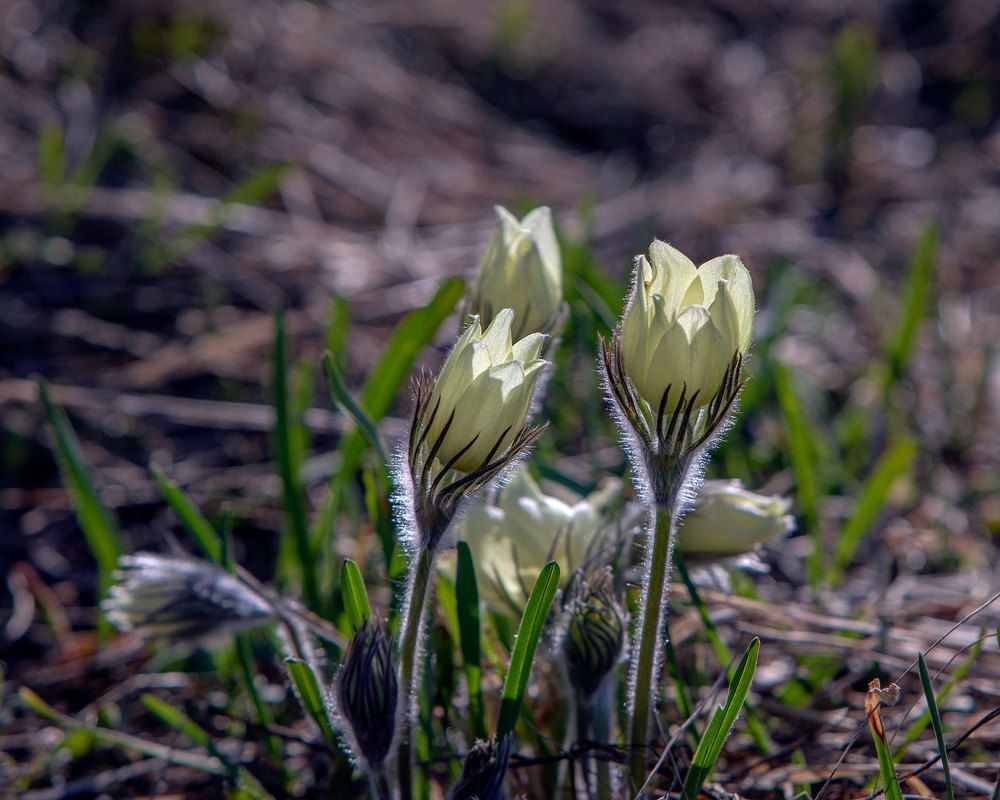 Фотография автора Владимир Русских
